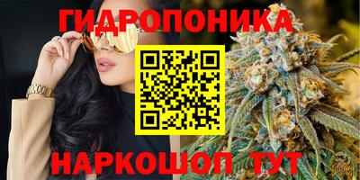 mix Кингисепп