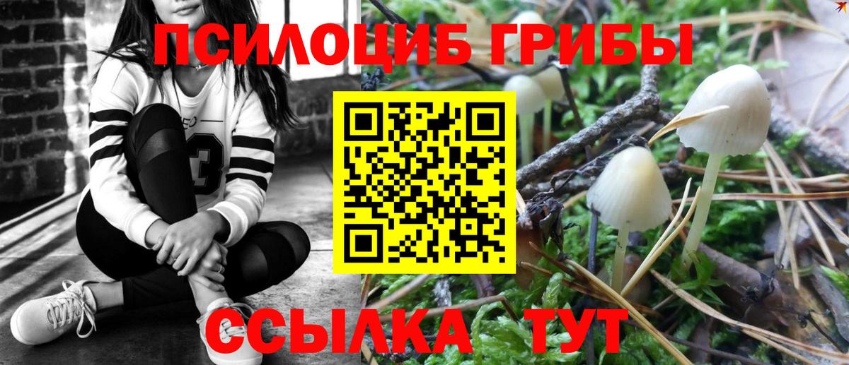 Псилоцибиновые грибы Magic Shrooms Ипатово